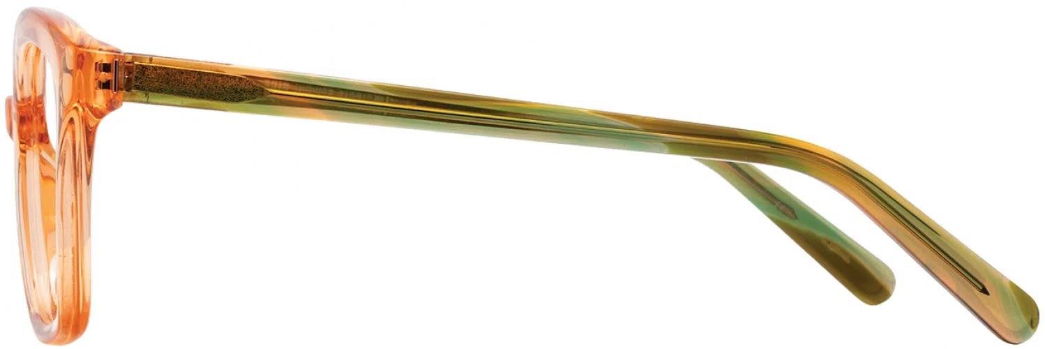 Adin Thomas ATS019 Eyeglasses - view 8